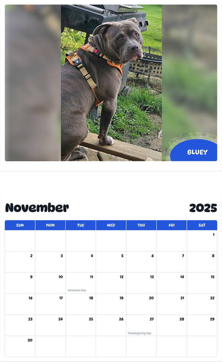 July 2025 - June 2026 Bluey - Pawidols Pet Calendar