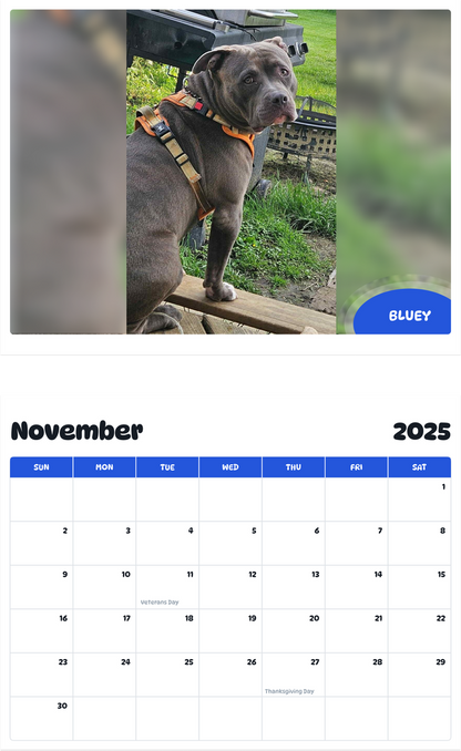 July 2025 - June 2026 Bluey - Pawidols Pet Calendar