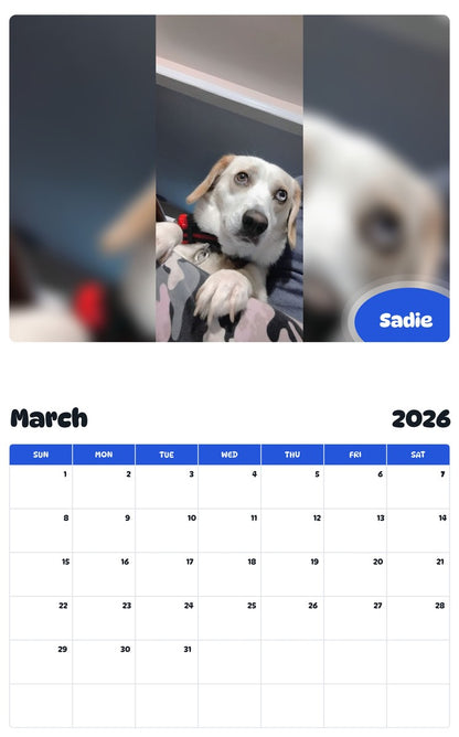 November 2025 - October 2026 Sadie - Pawidols Pet Calendar