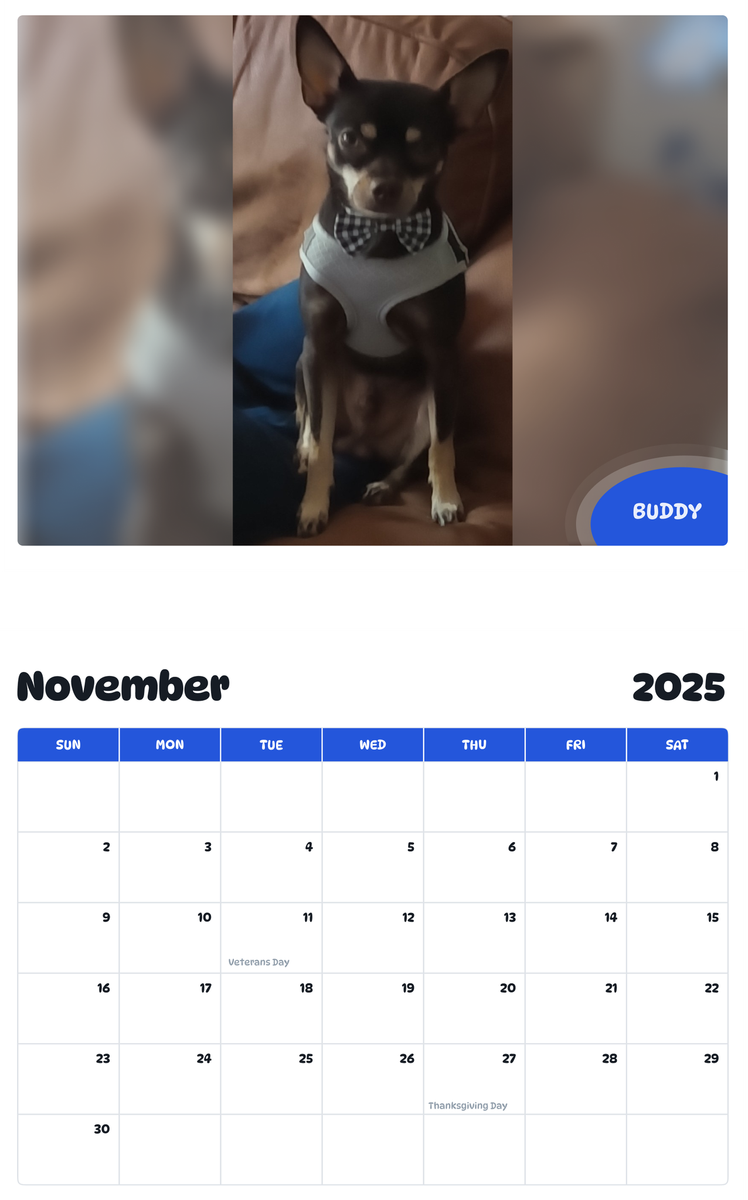 July 2025 - June 2026 Buddy - Pawidols Pet Calendar