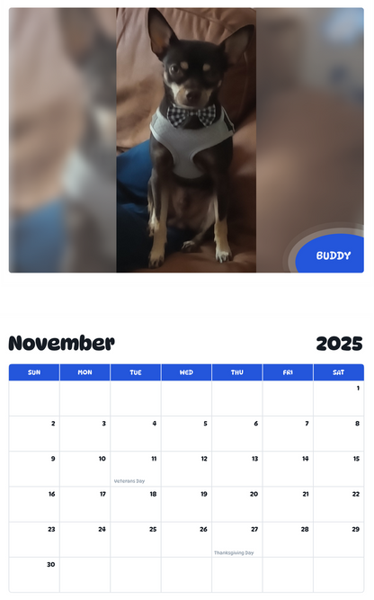 July 2025 - June 2026 Buddy - Pawidols Pet Calendar