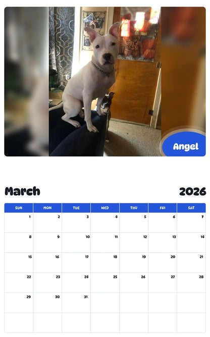 November 2025 - October 2026 Angel - Pawidols Pet Calendar