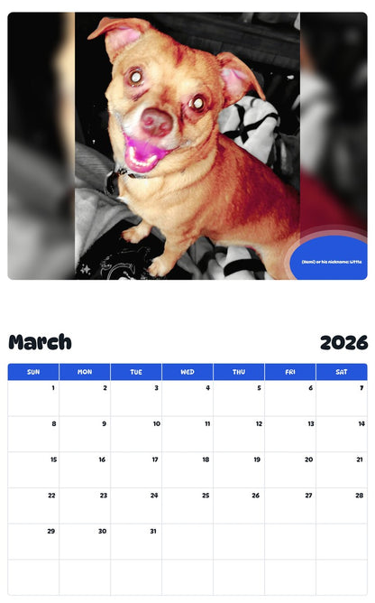 November 2025 - October 2026 (Hemi) or his nickname: Little - Pawidols Pet Calendar