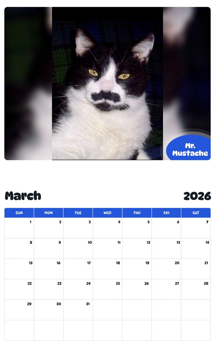 November 2025 - October 2026 Mr. Mustache - Pawidols Pet Calendar
