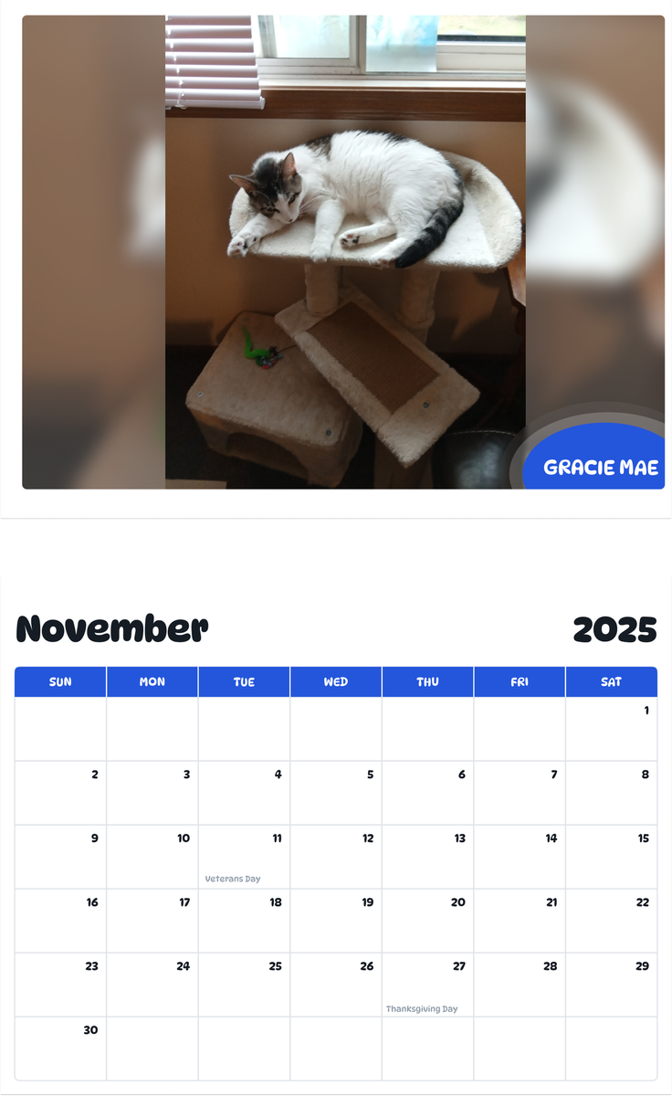 July 2025 - June 2026 Gracie Mae - Pawidols Pet Calendar