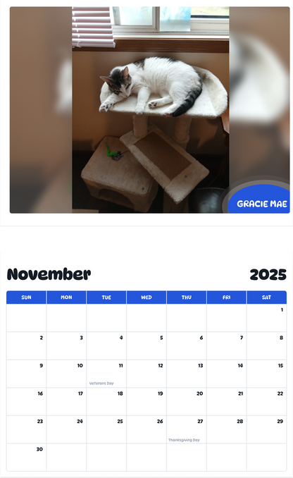 July 2025 - June 2026 Gracie Mae - Pawidols Pet Calendar