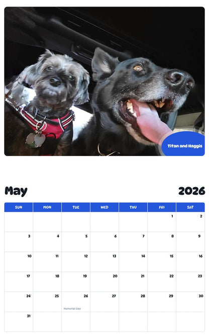 2026 - 2027 Titan and Haggis - Pawidols Pet Calendar