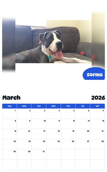 November 2025 - October 2026 SOPHIA - Pawidols Pet Calendar
