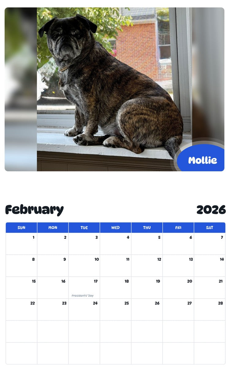 October 2025 - September 2026 Mollie - Pawidols Pet Calendar