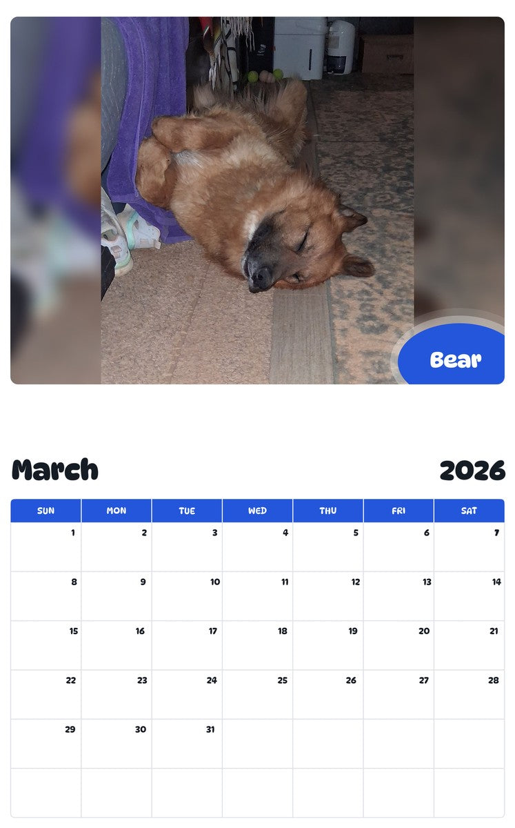 November 2025 - October 2026 Bear - Pawidols Pet Calendar