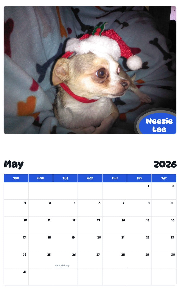 2026 - 2027 Weezie Lee - Pawidols Pet Calendar