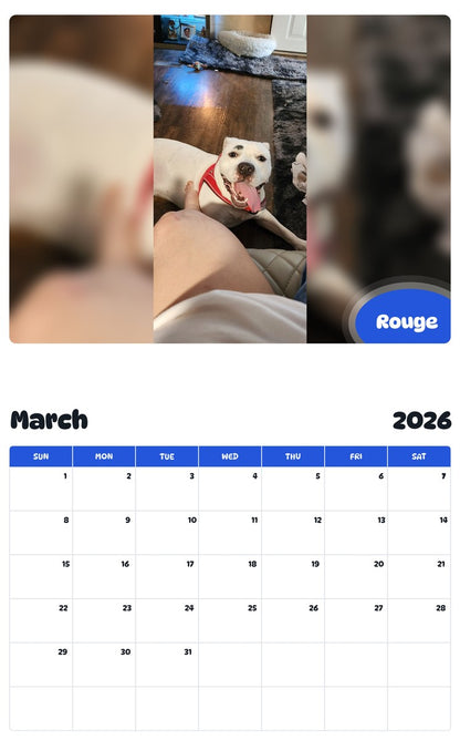 November 2025 - October 2026 Rouge - Pawidols Pet Calendar