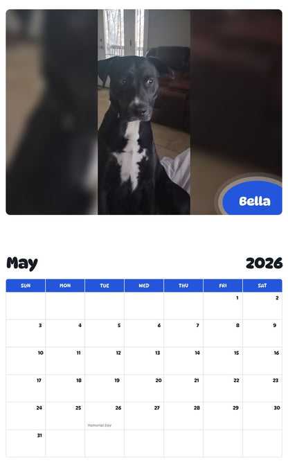 2026 - 2027 Bella - Pawidols Pet Calendar