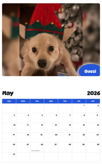 2026 - 2027 Gucci - Pawidols Pet Calendar
