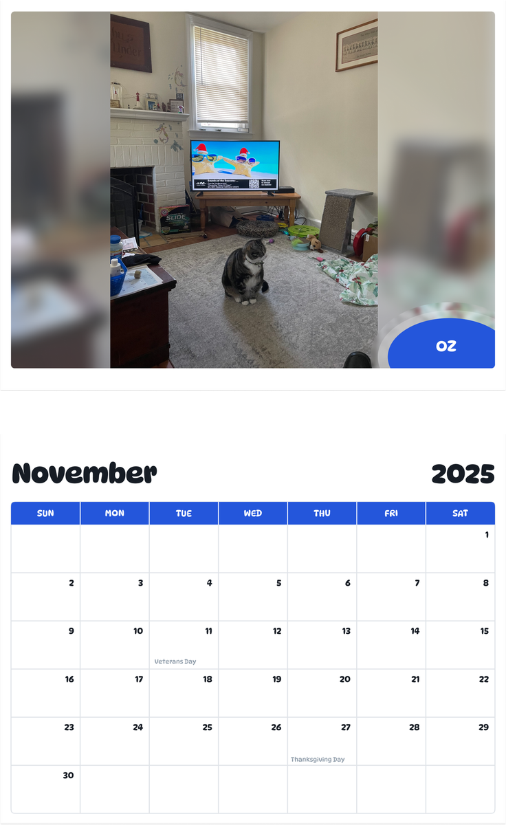 July 2025 - June 2026 Oz - Pawidols Pet Calendar