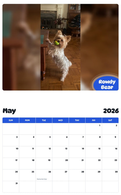 2026 - 2027 Rowdy Bear - Pawidols Pet Calendar