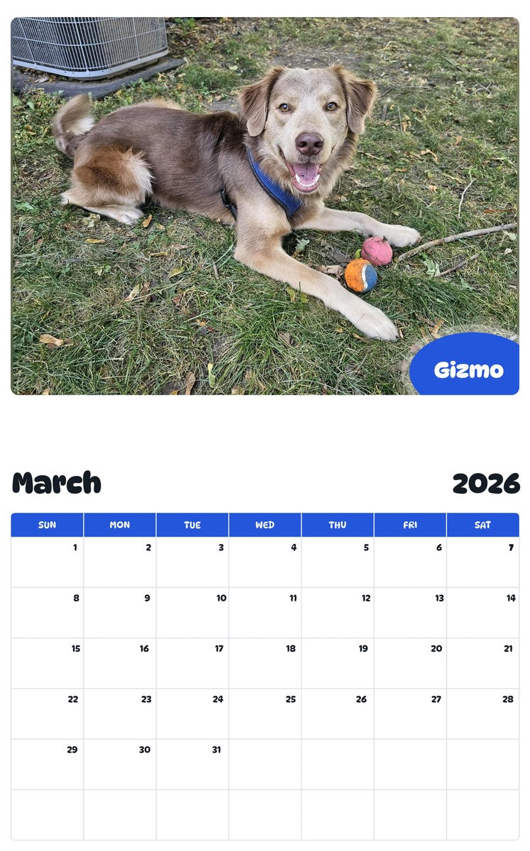 November 2025 - October 2026 Gizmo - Pawidols Pet Calendar
