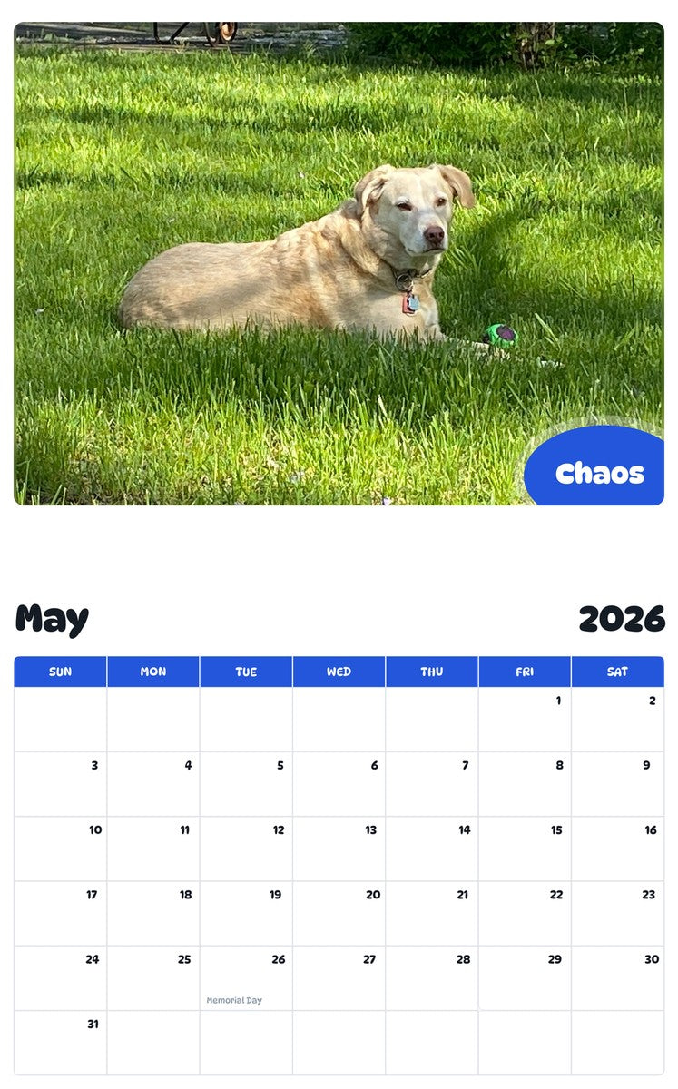 2026 - 2027 Chaos - Pawidols Pet Calendar