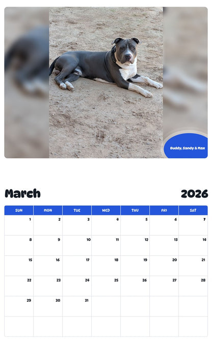 November 2025 - October 2026 Buddy, Sandy & Max - Pawidols Pet Calendar