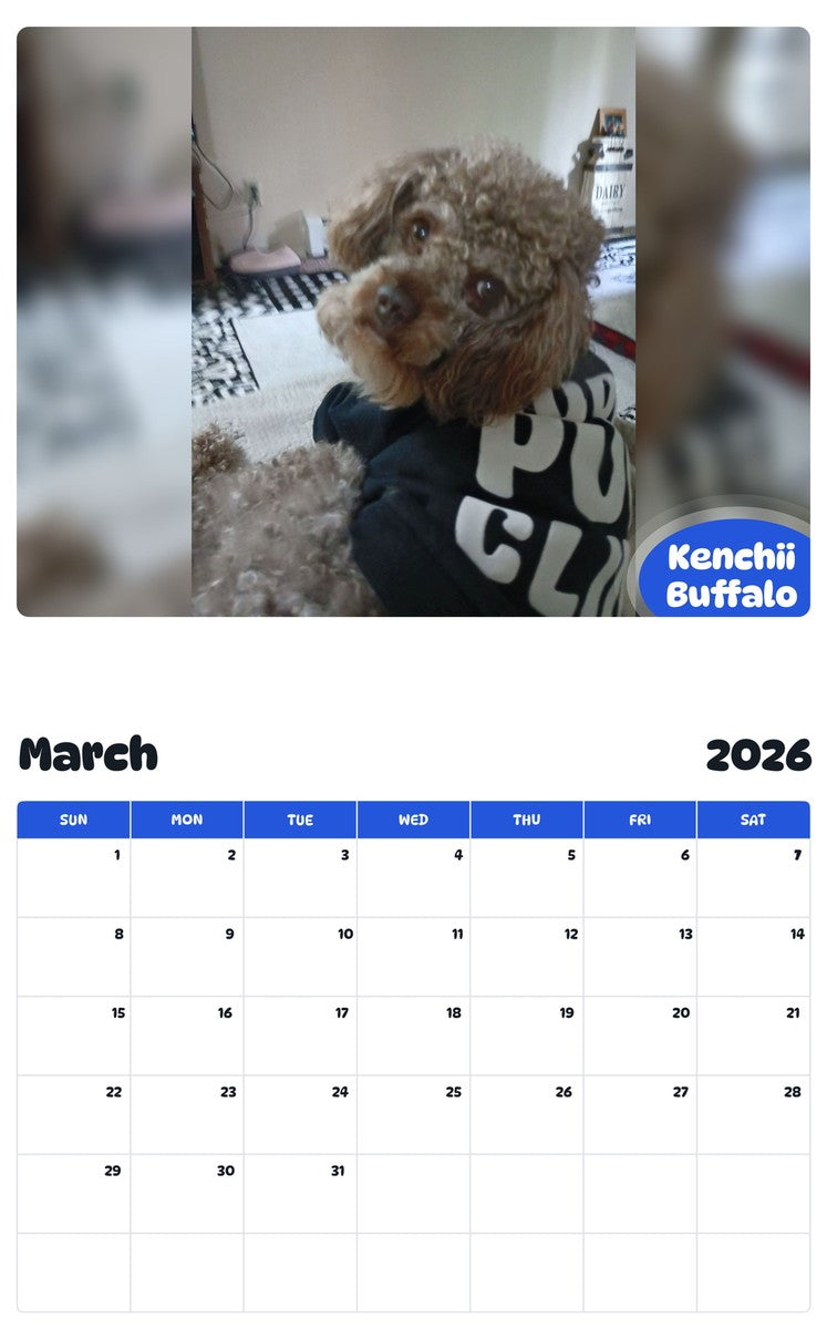 November 2025 - October 2026 Kenchii Buffalo - Pawidols Pet Calendar