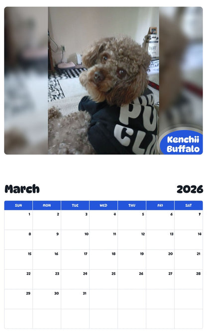 November 2025 - October 2026 Kenchii Buffalo - Pawidols Pet Calendar