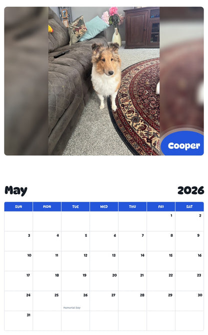 2026 - 2027 Cooper - Pawidols Pet Calendar