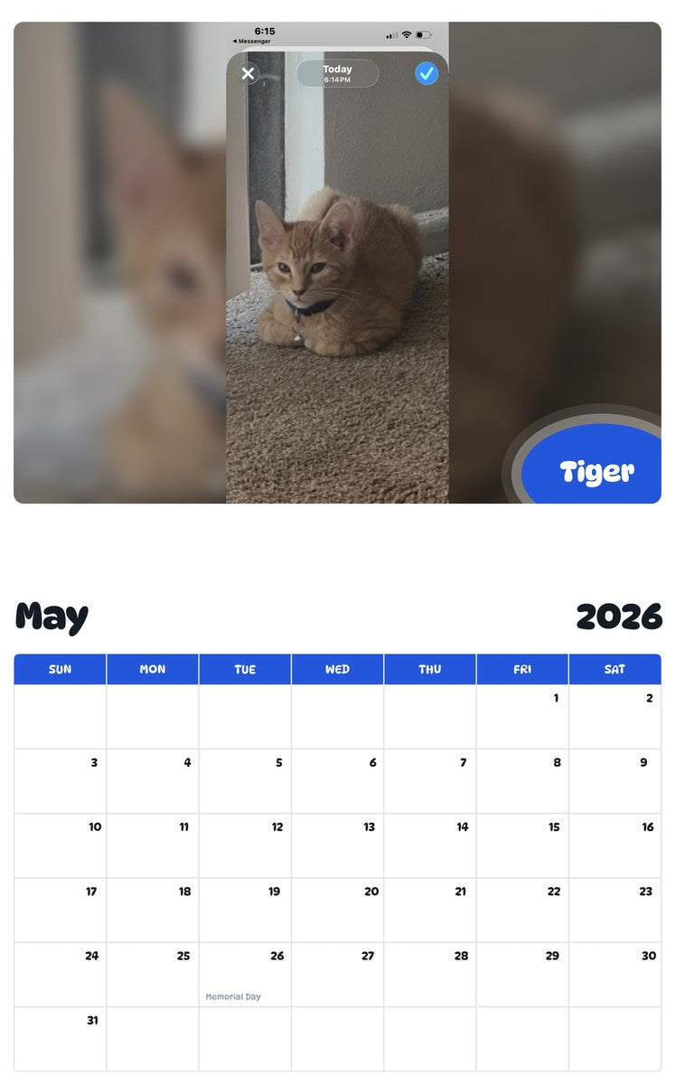 2026 - 2027 Tiger - Pawidols Pet Calendar