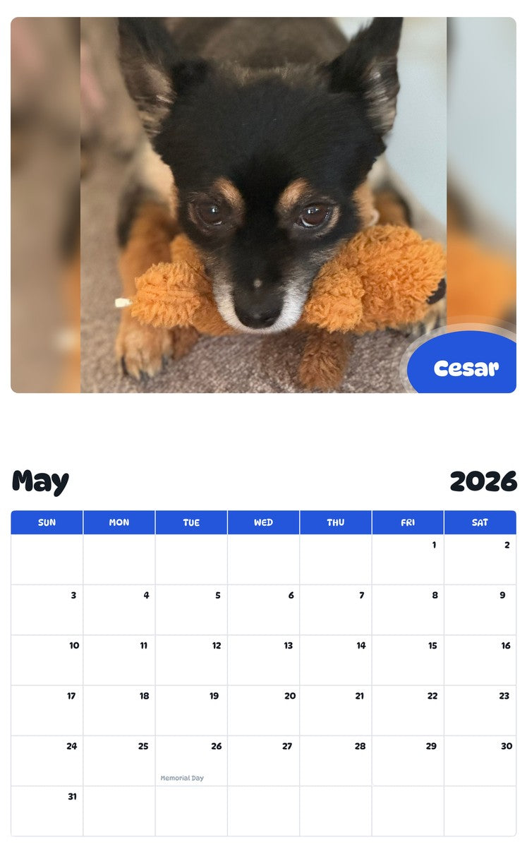 2026 - 2027 Cesar - Pawidols Pet Calendar