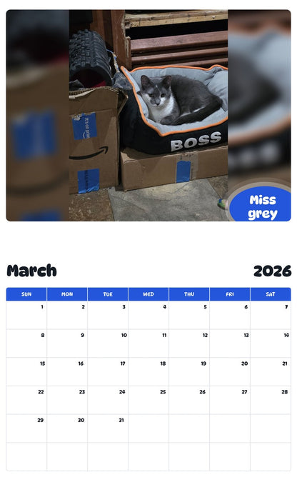 November 2025 - October 2026 Miss grey - Pawidols Pet Calendar