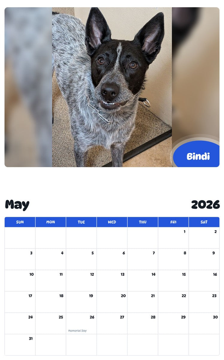 2026 - 2027 Bindi - Pawidols Pet Calendar