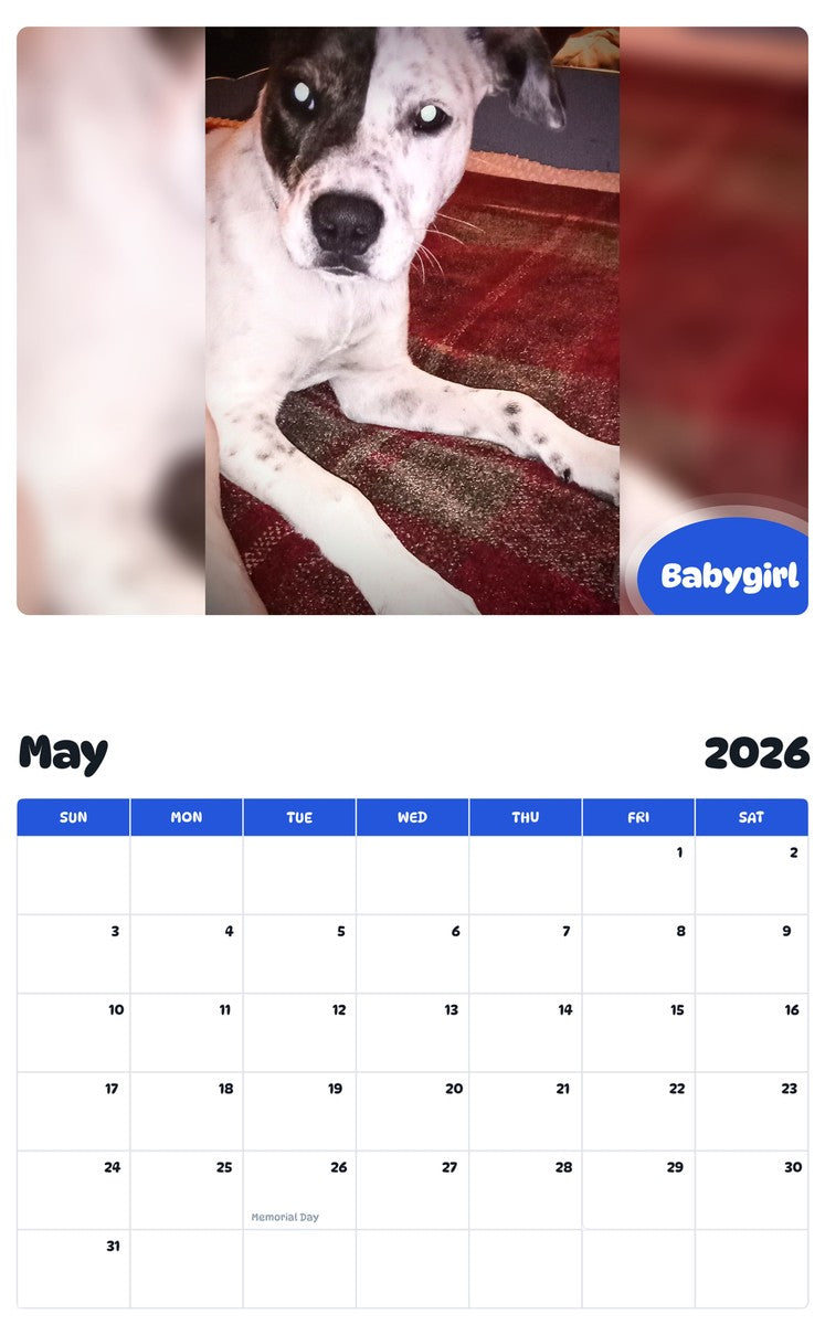 2026 - 2027 Babygirl - Pawidols Pet Calendar