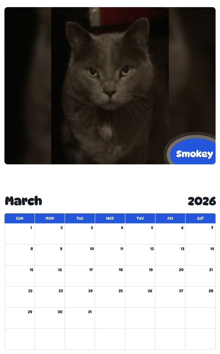 November 2025 - October 2026 Smokey - Pawidols Pet Calendar