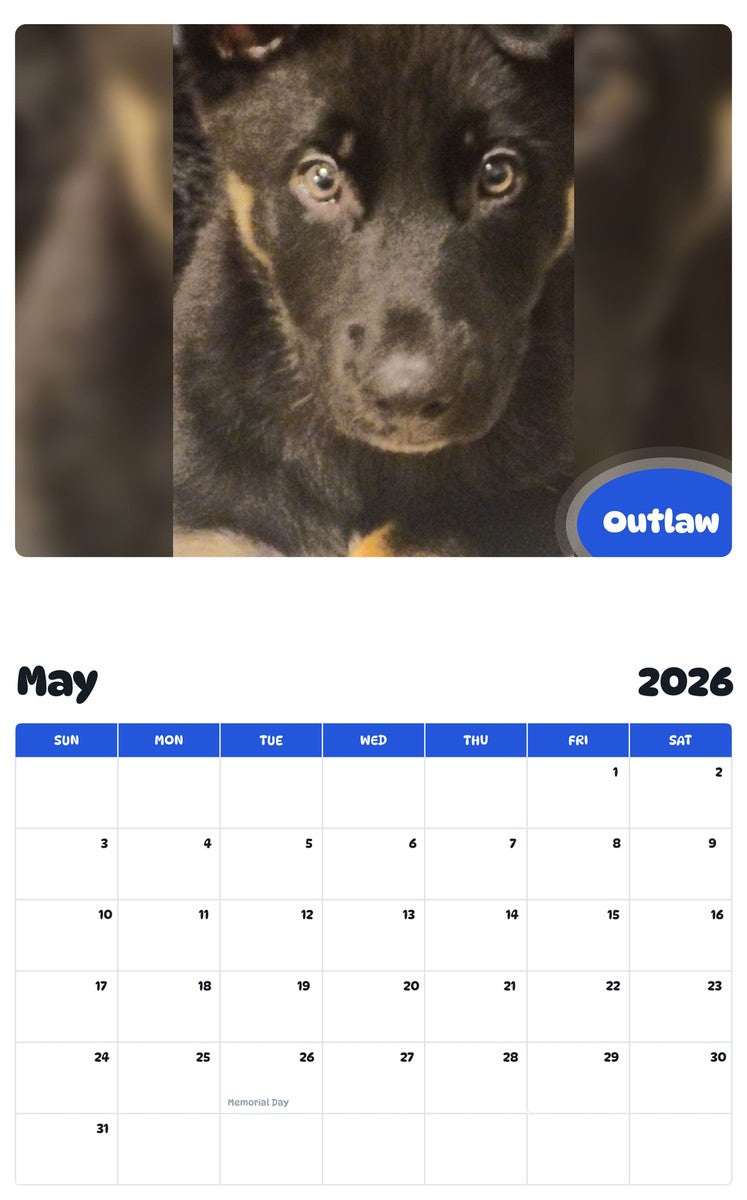 2026 - 2027 Outlaw - Pawidols Pet Calendar