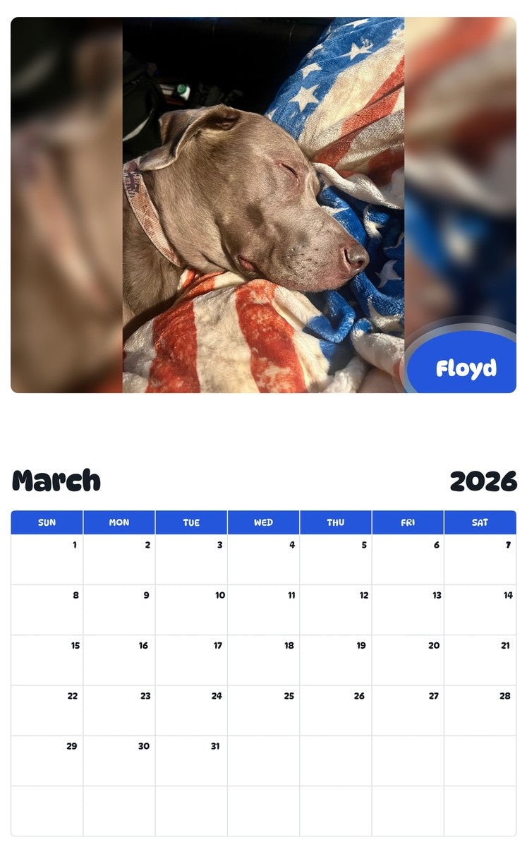 November 2025 - October 2026 Floyd - Pawidols Pet Calendar