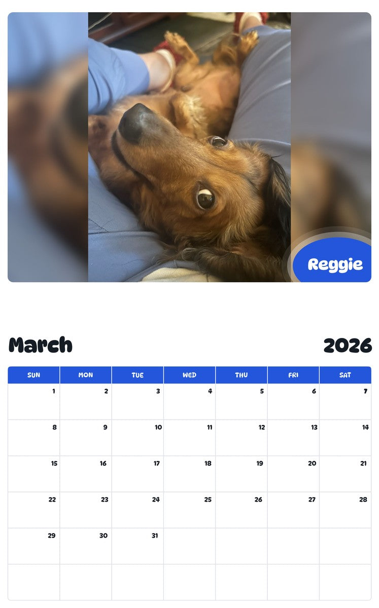 November 2025 - October 2026 Reggie - Pawidols Pet Calendar