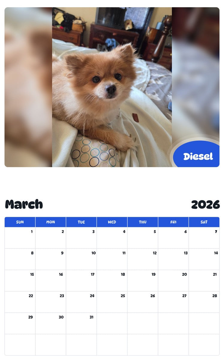 November 2025 - October 2026 Diesel - Pawidols Pet Calendar
