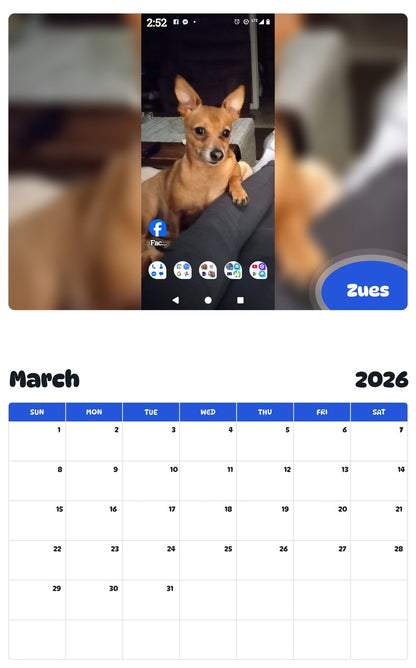 November 2025 - October 2026 Zues - Pawidols Pet Calendar