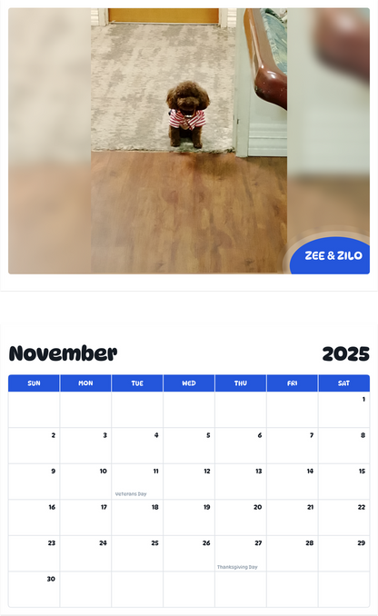 July 2025 - June 2026 Zee & Zilo - Pawidols Pet Calendar