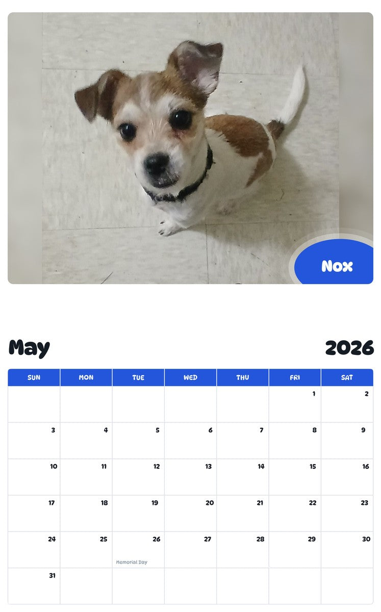 2026 - 2027 Nox - Pawidols Pet Calendar