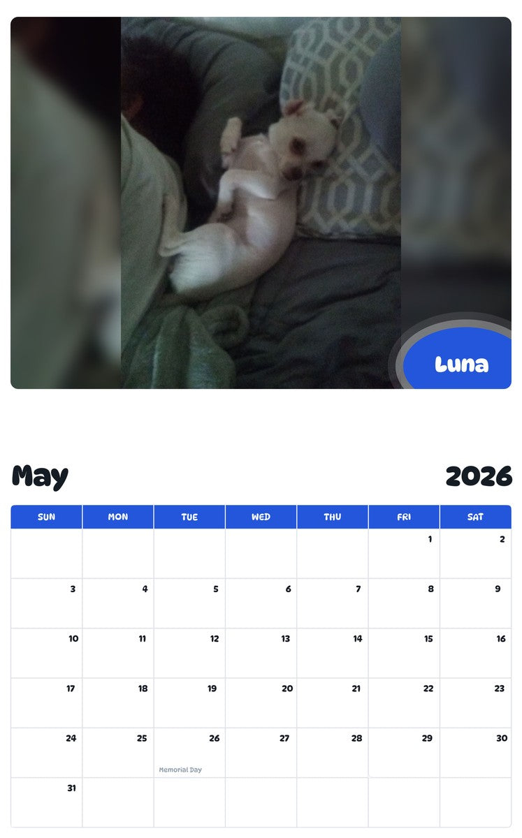 2026 - 2027 Luna - Pawidols Pet Calendar