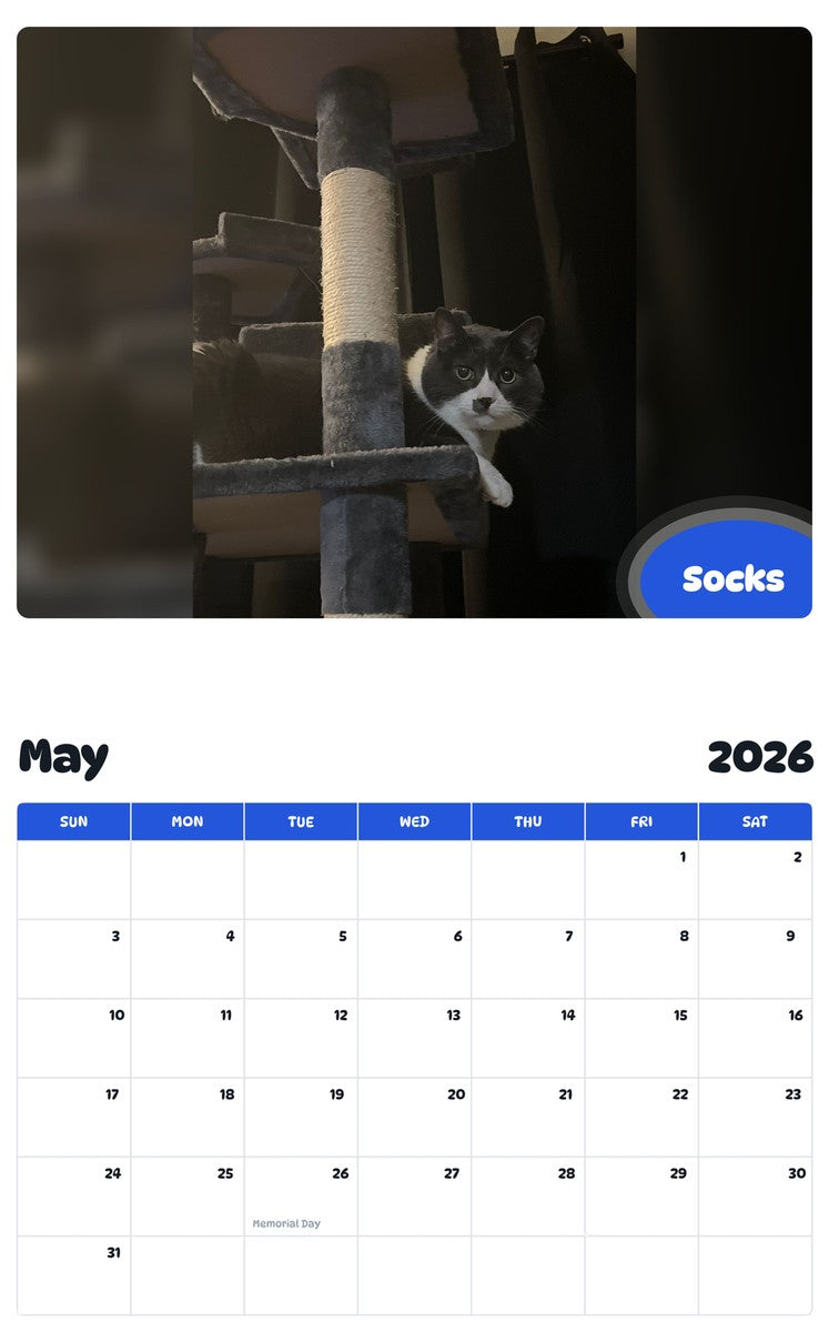 2026 - 2027 Socks - Pawidols Pet Calendar