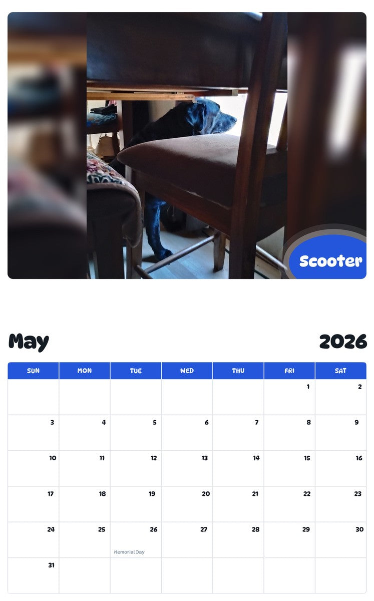2026 - 2027 Scooter - Pawidols Pet Calendar