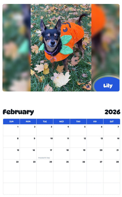 October 2025 - September 2026 Lily - Pawidols Pet Calendar