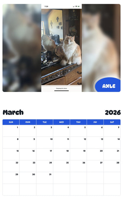 November 2025 - October 2026 AXLE - Pawidols Pet Calendar
