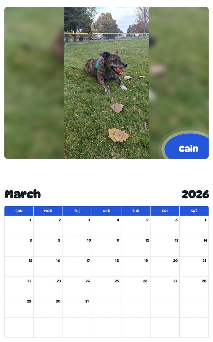 November 2025 - October 2026 Cain - Pawidols Pet Calendar
