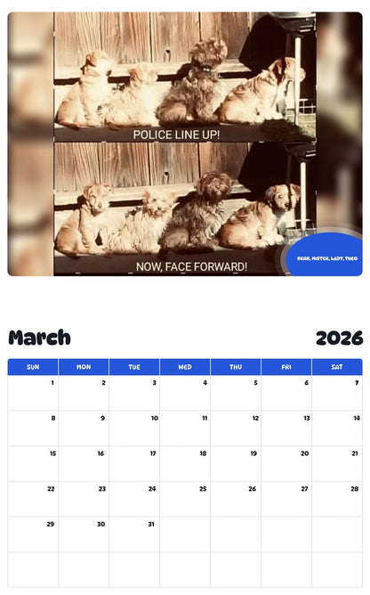 November 2025 - October 2026 BEAR, MISTER, LADY, THEO - Pawidols Pet Calendar
