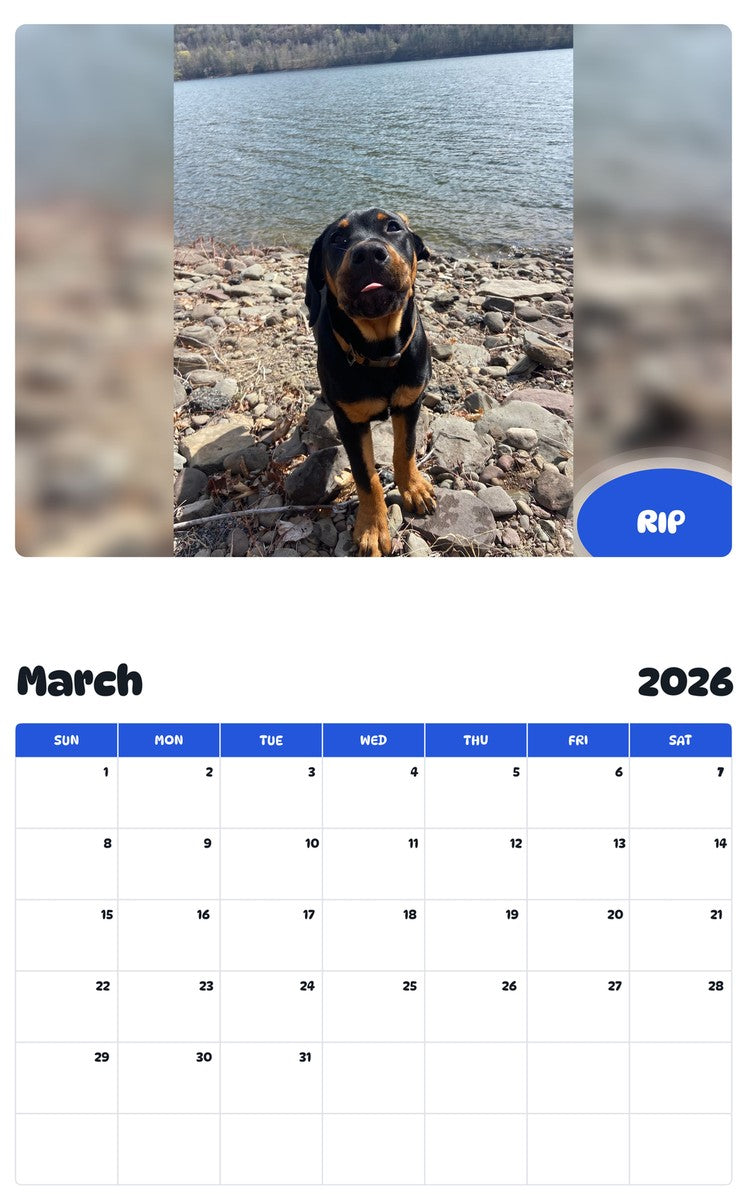 November 2025 - October 2026 RIP - Pawidols Pet Calendar