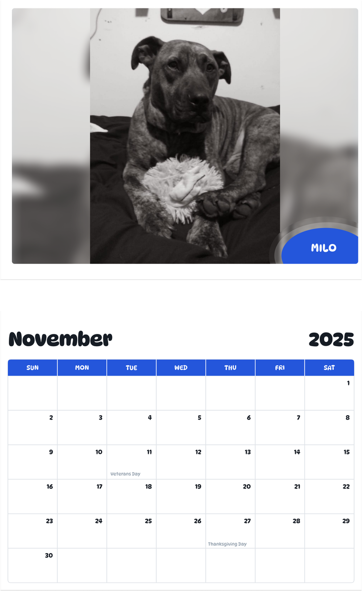 July 2025 - June 2026 Milo - Pawidols Pet Calendar