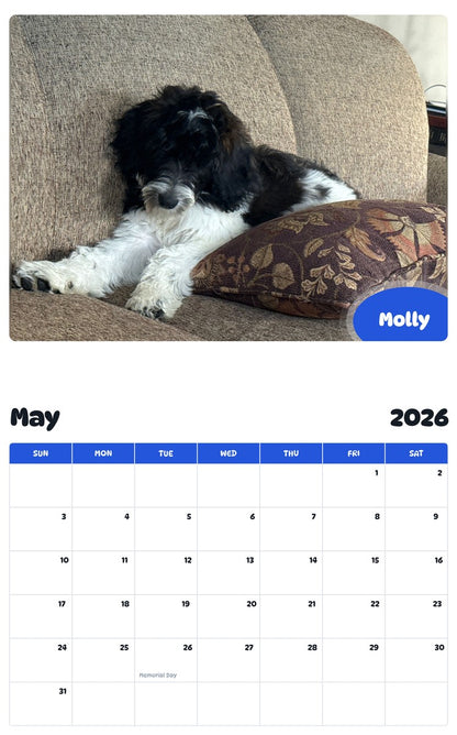 2026 - 2027 Molly - Pawidols Pet Calendar
