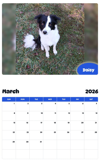 November 2025 - October 2026 Daisy - Pawidols Pet Calendar
